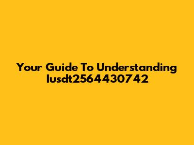 Your Guide To Understanding Iusdt2564430742