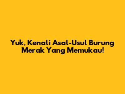 Yuk, Kenali Asal-Usul Burung Merak Yang Memukau!