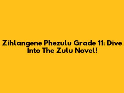 Zihlangene Phezulu Grade 11: Dive Into The Zulu Novel!